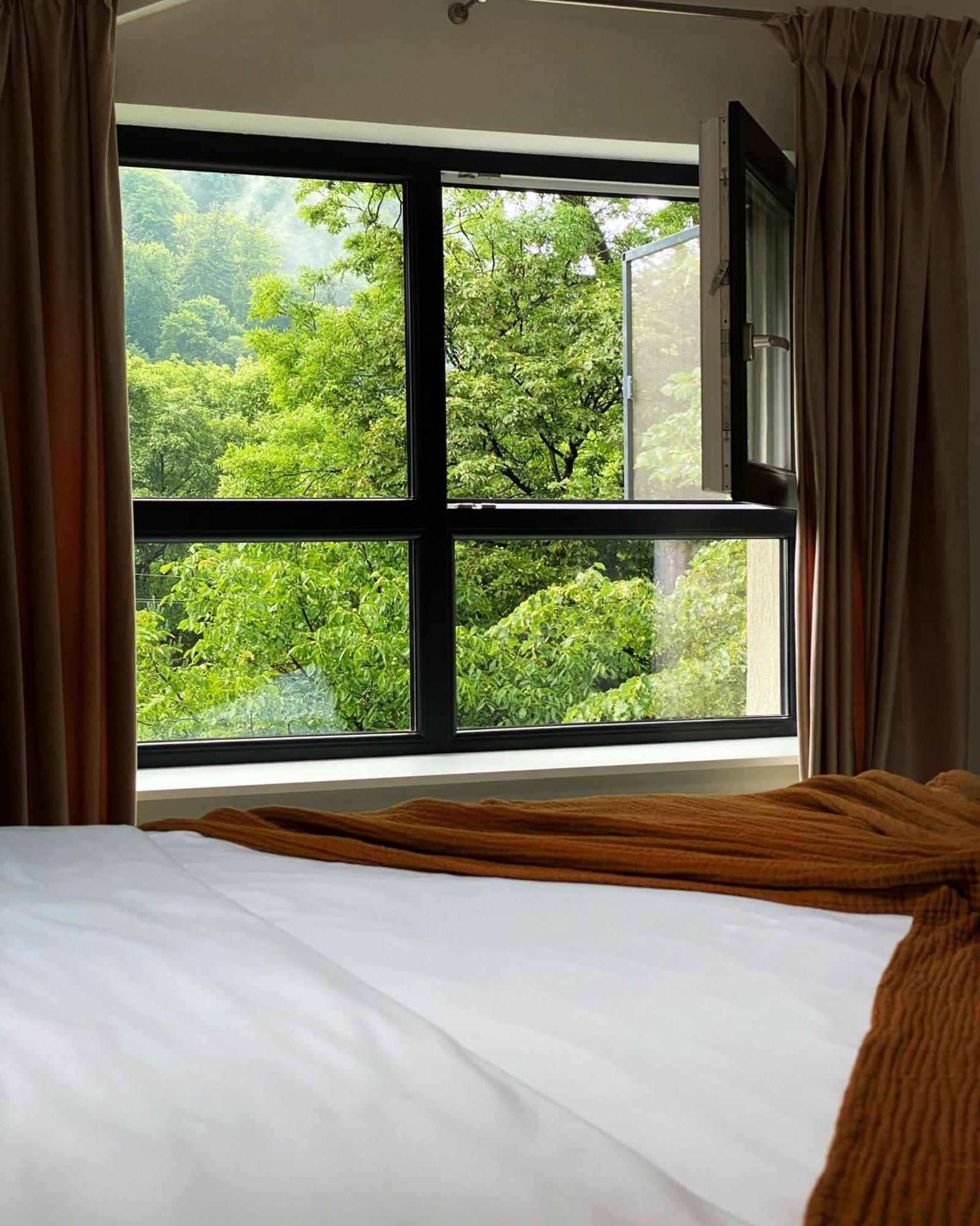 Queen'S Heart Guesthouse Bran  Eksteriør billede